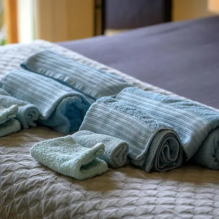 Les Jardins De Rangueil, Parking, Metro, Piscine Daire Toulouse